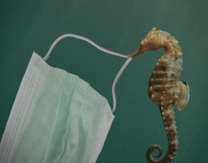 Mask Disposal Awareness - Poster